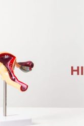 WhatsApp Image 2025-04-09 at 1.50.07 AM